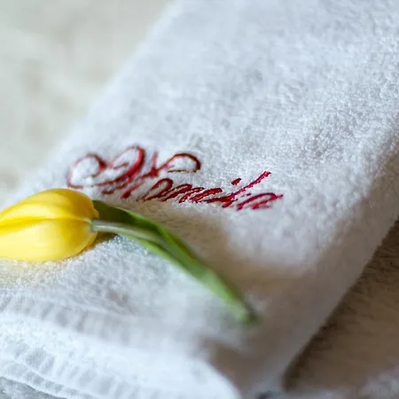 Bed & Breakfast Monika